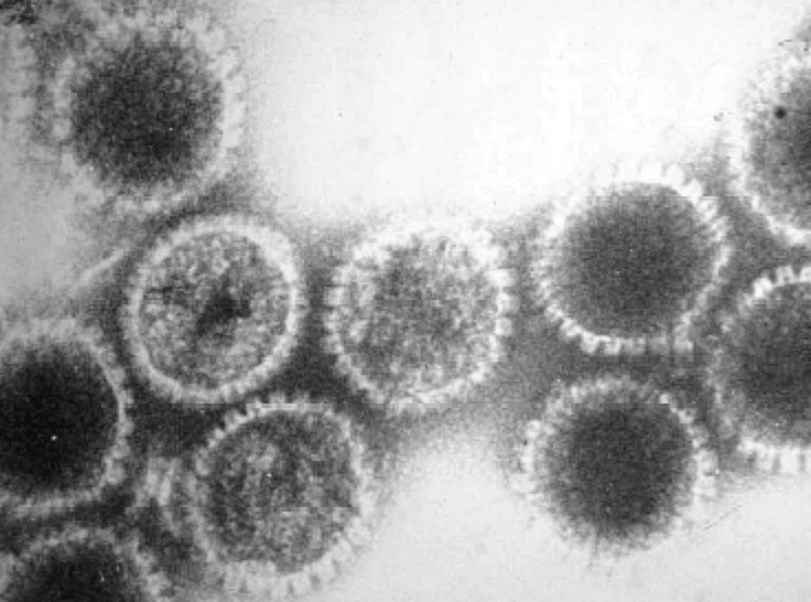 Herpes Facts